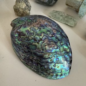 Abeloneskal, poleret