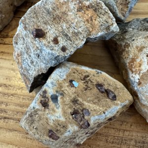 Granat i anorthosit (modersten)