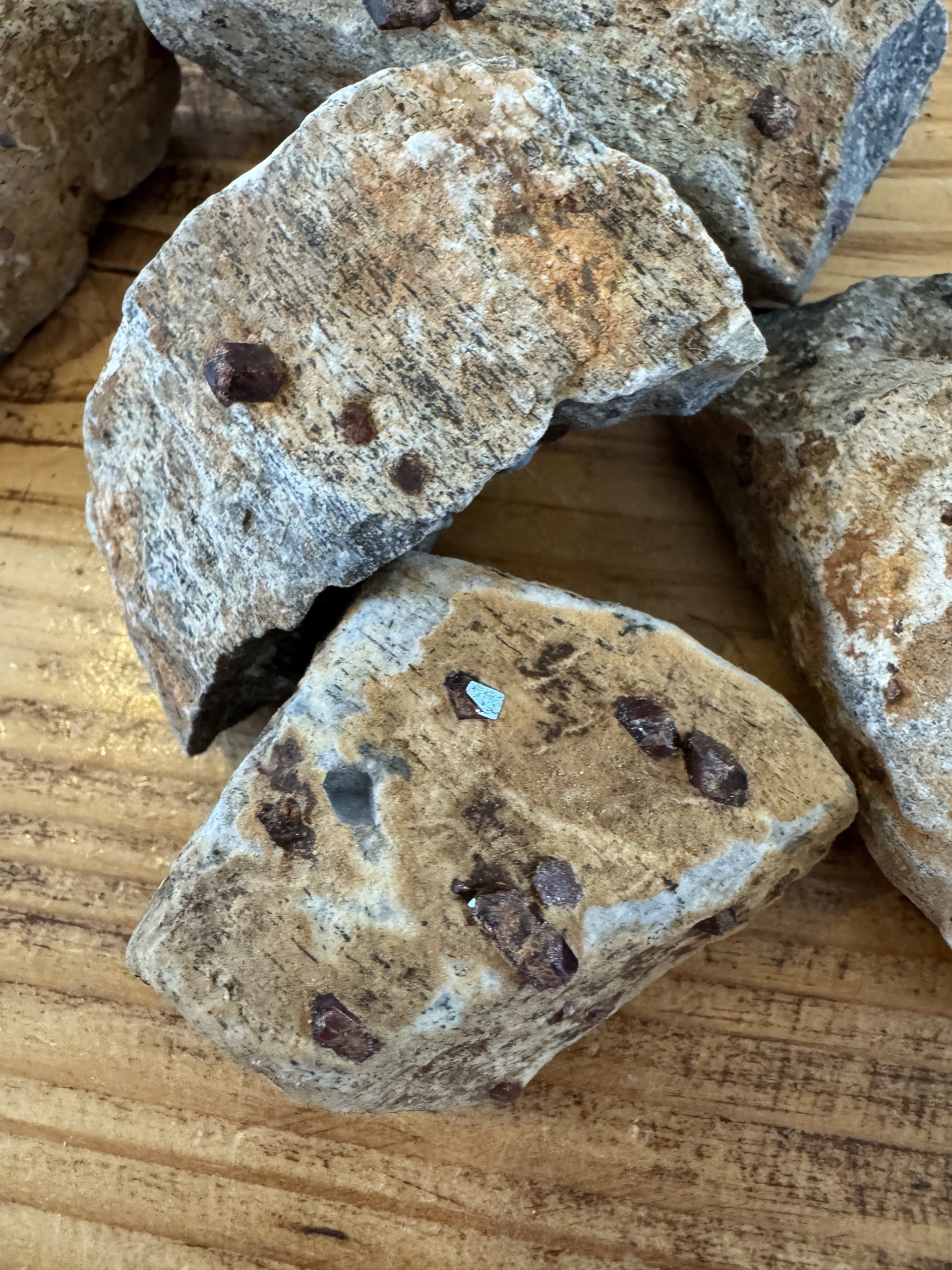 Granat i anorthosit (modersten)