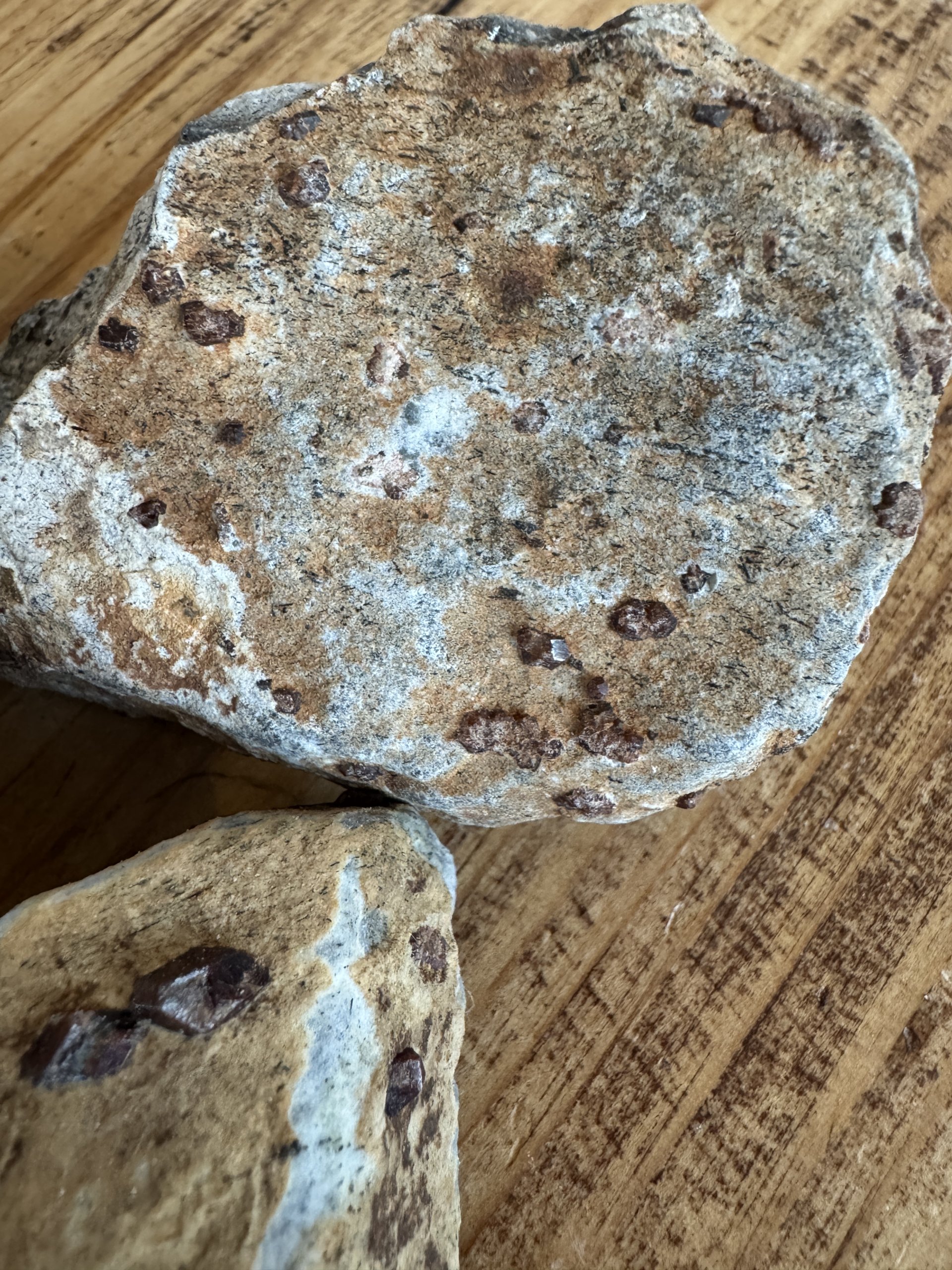 Granat i anorthosit (modersten) - Billede 2