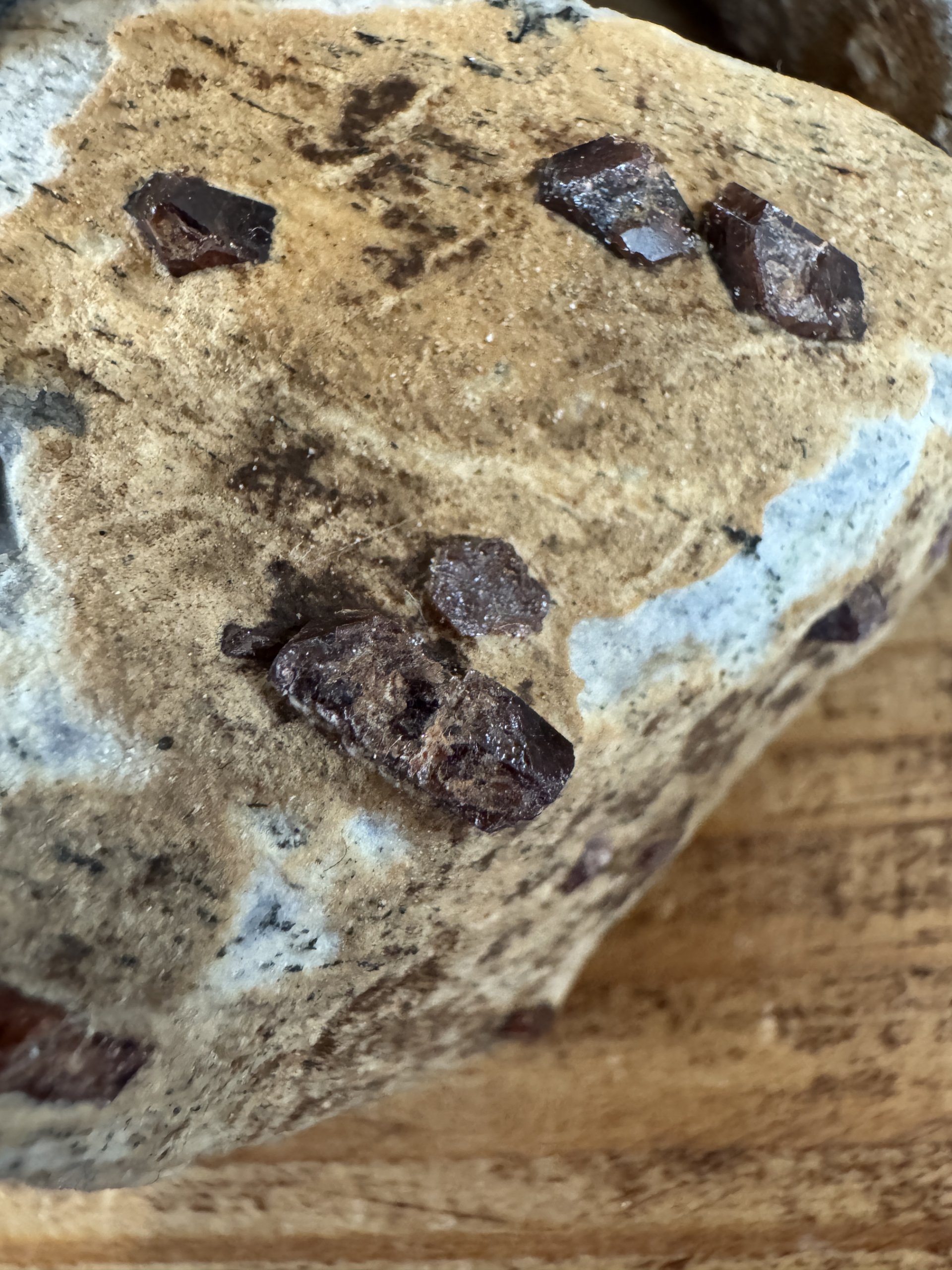 Granat i anorthosit (modersten) - Billede 4